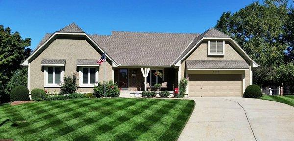 Lawn Services