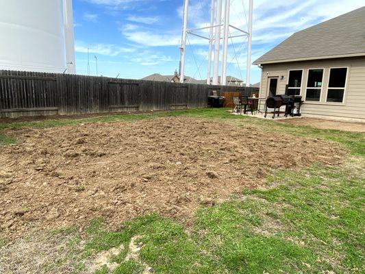 Lawn Renovation and Mulching