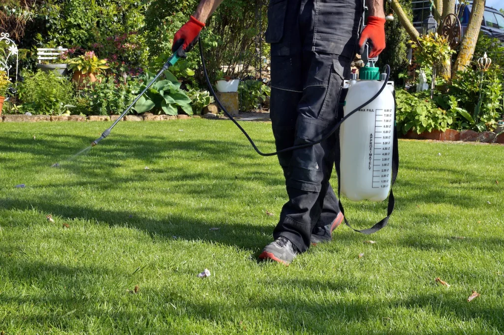 Fertilizer Programs Mountain City TX