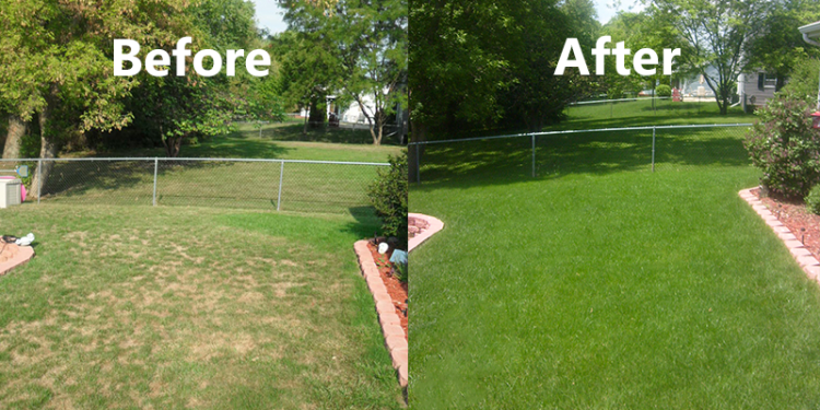 Lawn Renovation Mountain City TX