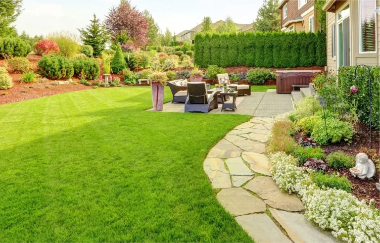 Lawn Renovation San Marcos TX
