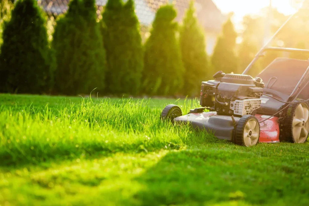 Lawn Services Austin